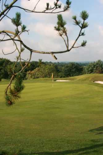Bowood Park Hotel & Golf Club - photo 6