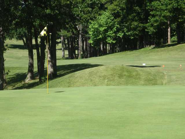 Lebanon Community Golf and Country Club - photo 3