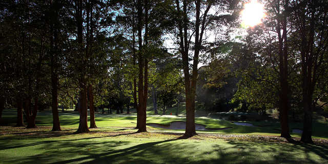 Pennant Hills Golf Club - photo 7