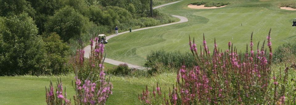 Centennial Park Golf Course - photo 3