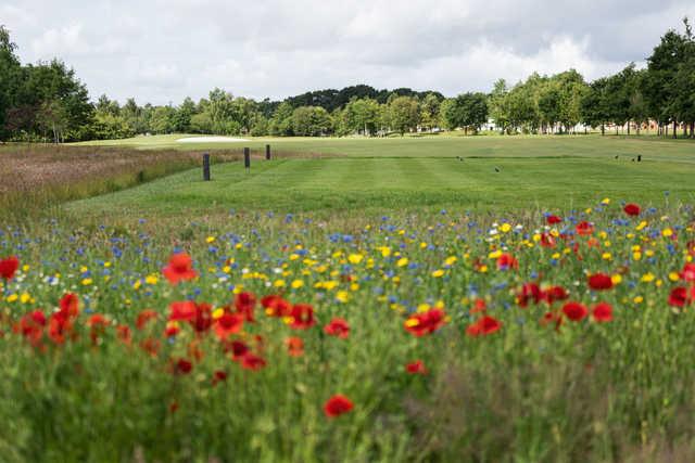 Skylark Golf & Country Club - photo 2