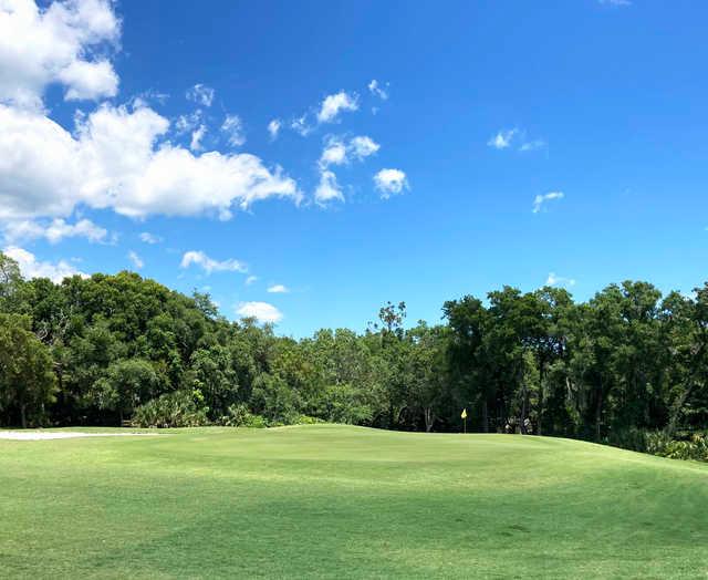 Halifax Plantation Golf Club - photo 6