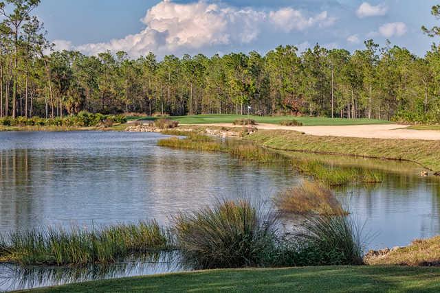Tiburon Golf Club - Black Course - photo 7