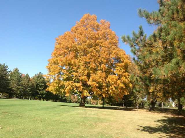 Northfield Golf Club - photo 7
