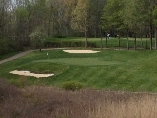 Links of Novi - photo 8
