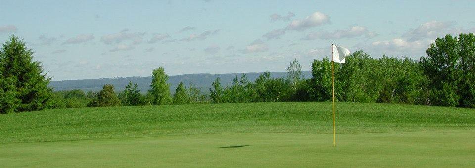 The Bluffs at Coffee Mill - photo 4