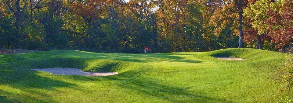 Lake Carroll Golf Course - photo 4