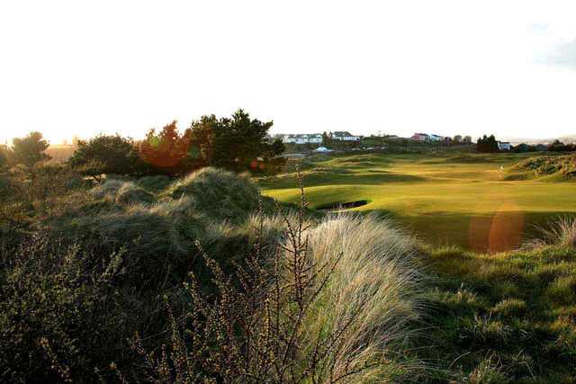 Arklow Golf Links - photo 6