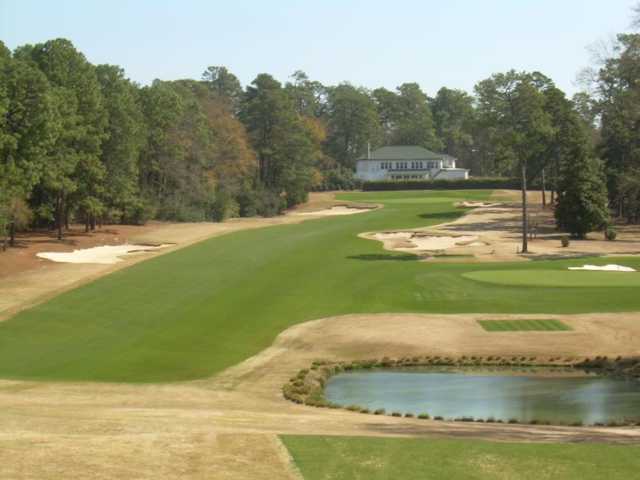 Palmetto - photo 3