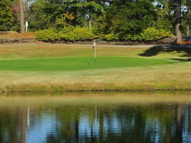 Green Meadows Golf Course - photo 4