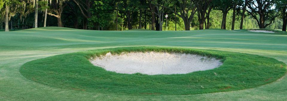 Atchafalaya Golf Course - photo 5