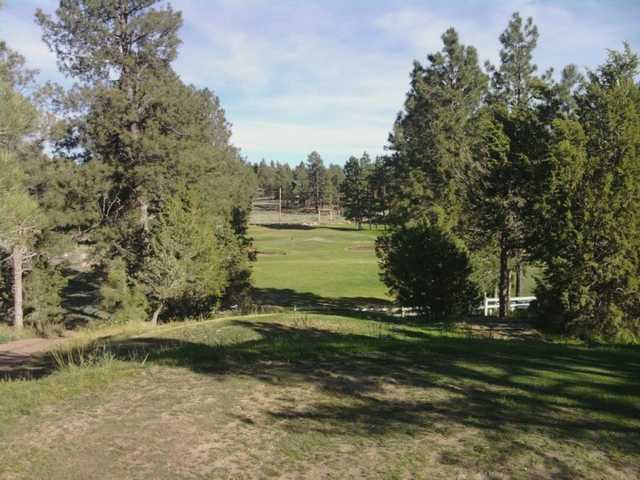 Pine Meadows Country Club - photo 1