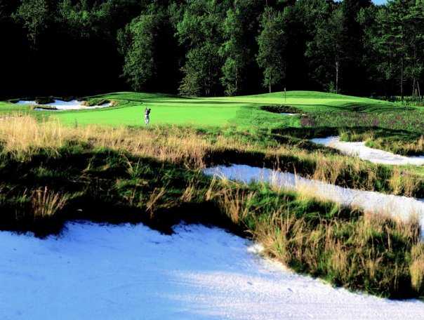 Saratoga National Golf Club - photo 2