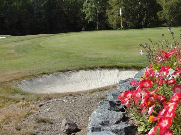 Mingo Springs Golf Course - photo 3