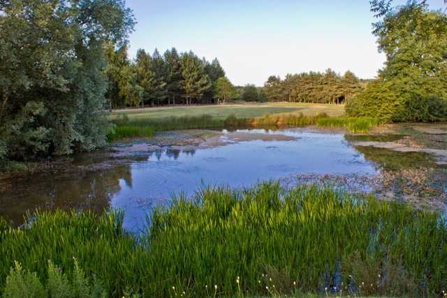 The Millbrook Golf Club - photo 4