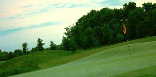 The New Course - photo 2