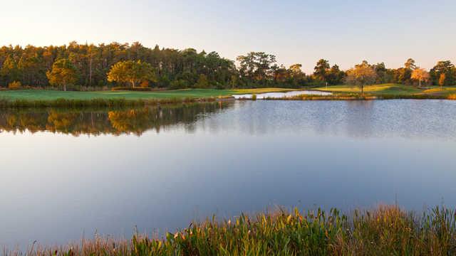 Shingle Creek Golf Club - photo 8