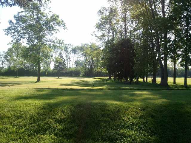NINE Golf - Executive 9 Holes - photo 3