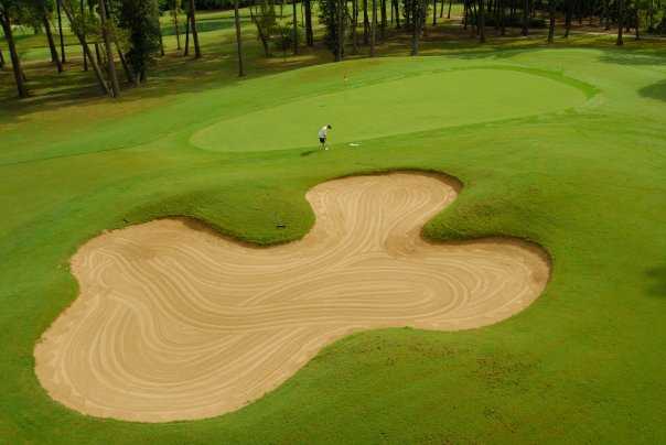 Timber Creek Golf Club - photo 2