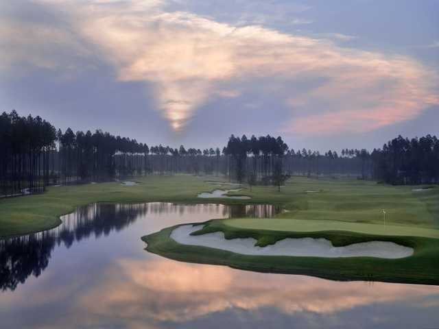 Amelia National Golf & Country Club - photo 7