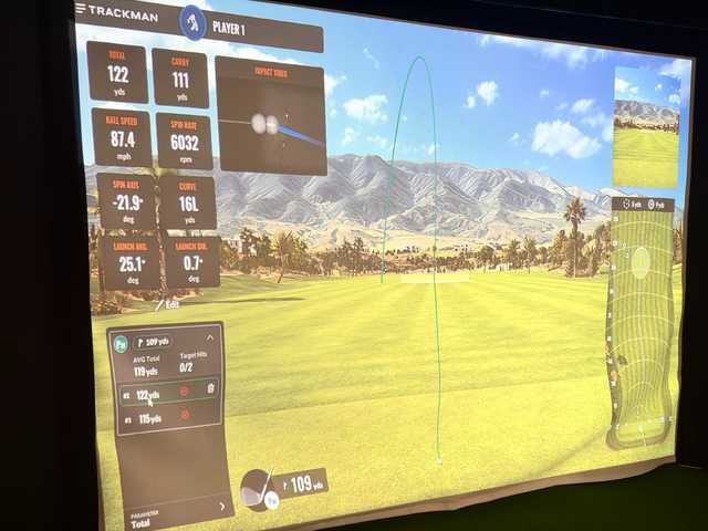 SimuLinks Golf - photo 4