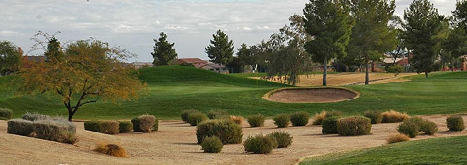 Arizona Traditions Golf Club - photo 6