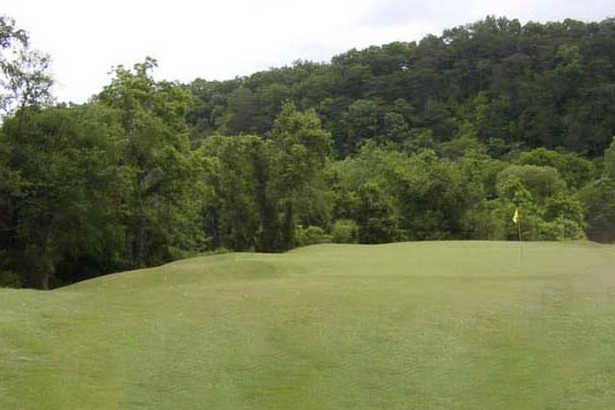 Golf Club of Tennessee - photo 4