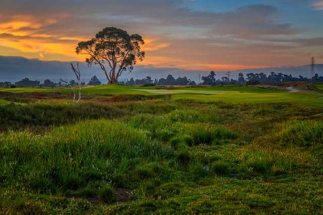 Baylands Golf Links - photo 5