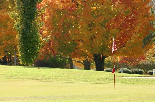 Red Apple Inn & Country Club - photo 2