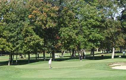 Wayland - photo 4