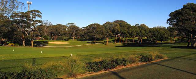 Cabramatta Golf Club - photo 5