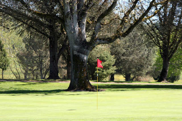 Roseburg Country Club - photo 3