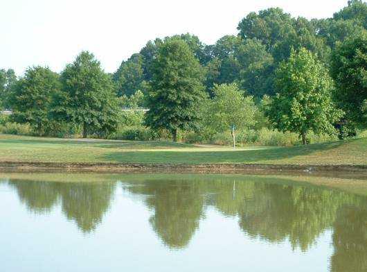 Twin Bridges Golf Club - photo 4