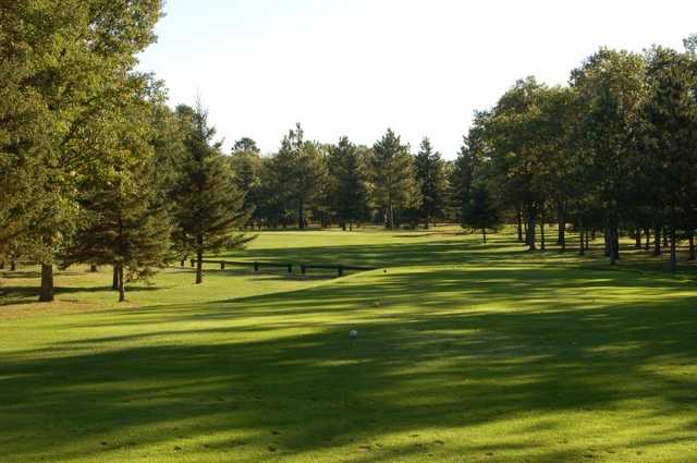 Bemidji Town & Country Club - photo 4