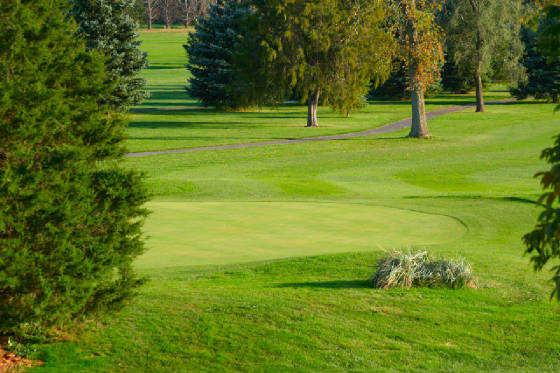 Pine View Golf Course - photo 2