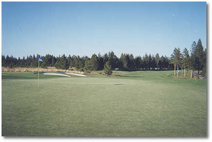 Quail Run Golf Course - photo 8