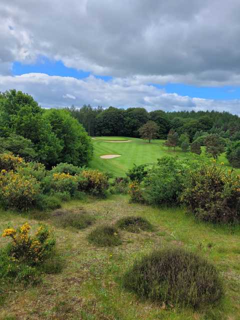 Brampton Golf Club - photo 3