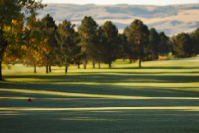 Pinecrest Golf Club - photo 2