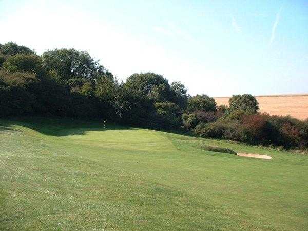 Came Down Golf Club - photo 3