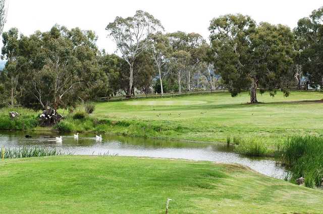 Cooma Golf Club - photo 8