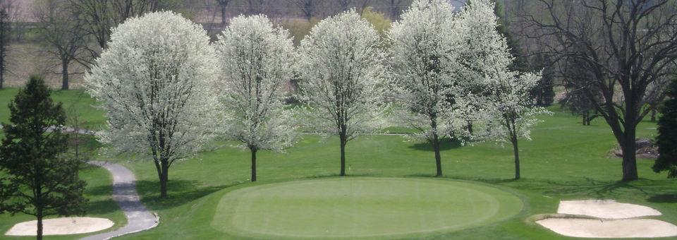 Willow Hollow Golf Club - photo 5