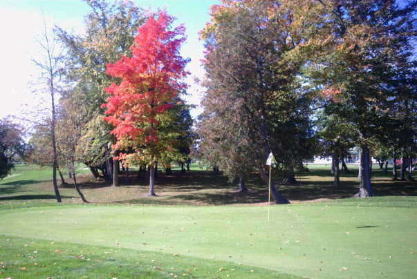 Bird Creek Golf Club - photo 7