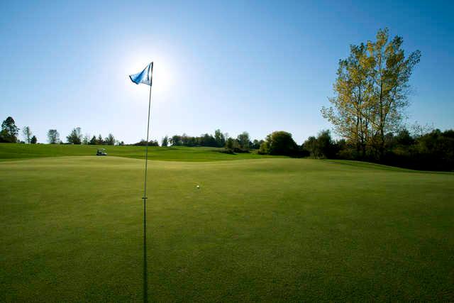 The Pheasant Golf Links - photo 3
