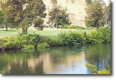 Kah-Nee-Ta - photo 6