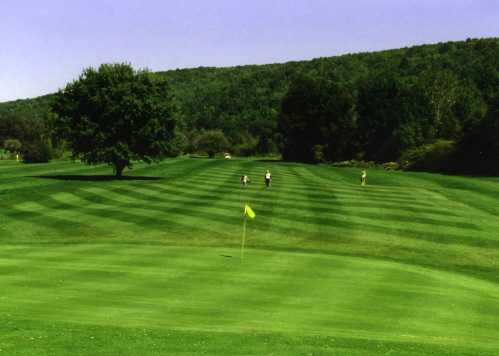 Newark Valley Golf Club - photo 1