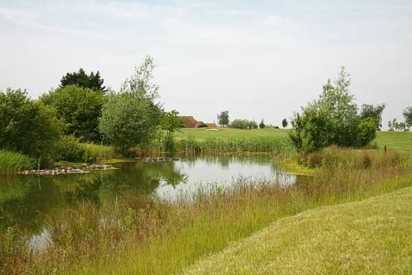 Langdon Hills Golf & Country Club - Langdon Course - photo 6