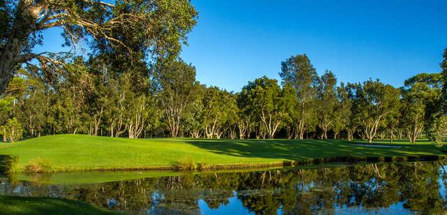 Mona Vale Golf Club - photo 2