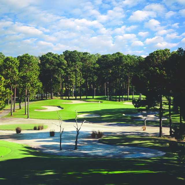 Sea Trail Golf Resort - The Willard Byrd Golf Course - photo 3