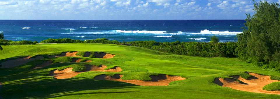 Turtle Bay Resort Arnold Palmer Course - photo 8