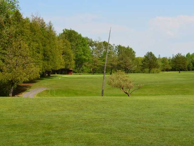 Pattison Park Golf Course - photo 3